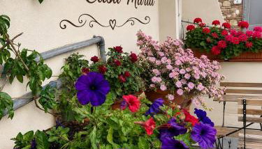 Casa Maria - Photo 5