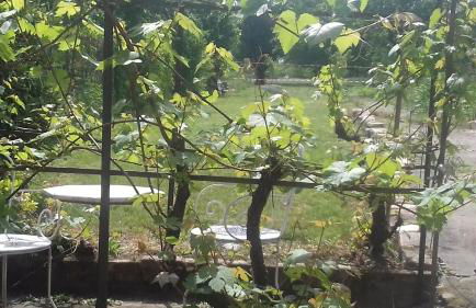 Gîte, Vintage Touch - Foto 17