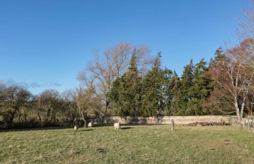 Silverbirch - Foto 19