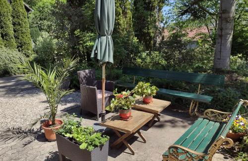 Olifant in Osterode - Foto 79