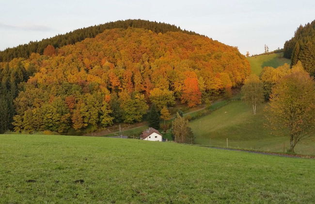 Apartment in Bruchhausen Right on the Fishing River - Foto 46