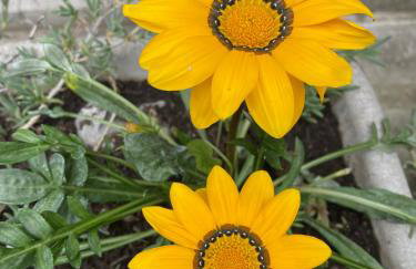 Apartment Dada - Foto 29