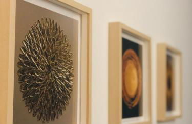 Le studio d'Angèle : Angie - Foto 8