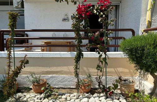 Mari e Monti - Foto 22