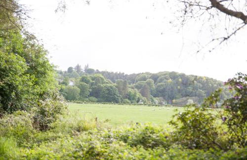 Mr McGregors' Cottage - Photo 15