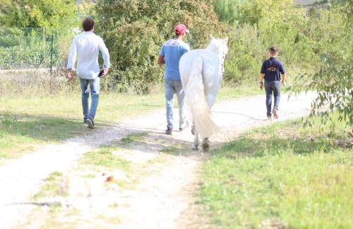 Manuel suites - Foto 10