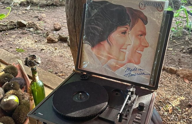 Pousada Pouso das Araras - Foto 67