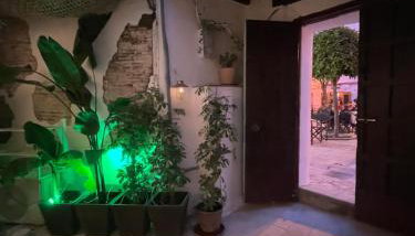Arcos de Tarifa, Casco historico, aparcamiento - Photo 5