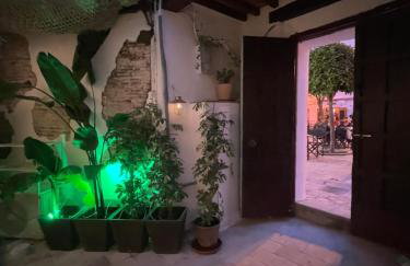 Arcos de Tarifa, Casco historico, aparcamiento - Photo 5