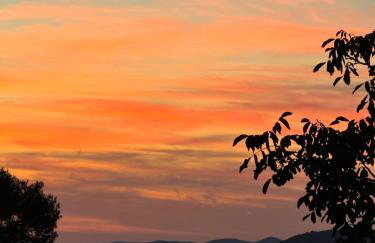 Villa Mrvica - Bilo, Primosten - Foto 25