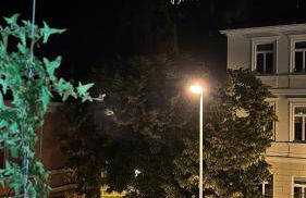 Benini Holidays: Villa San Pietro - Foto 17