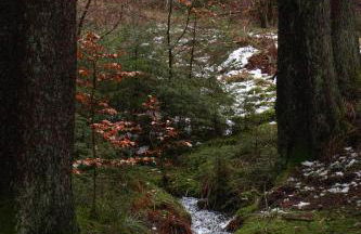 Casa Müller - Foto 27