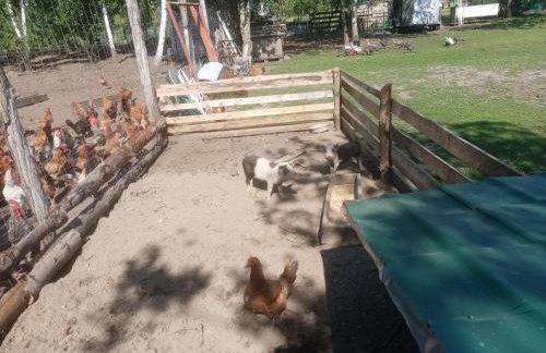 Gospodarstwo agroturystyczne - Foto 17