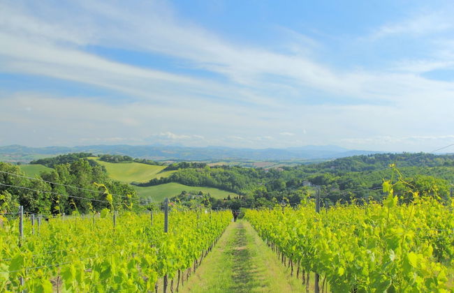 Eco-retreat With Pool - Foto 38