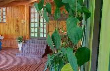 Refúgio nas Montanhas - Foto 32