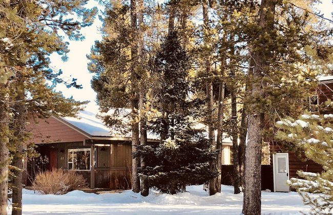 Shepherd Family Retreats- FOX - Photo 1