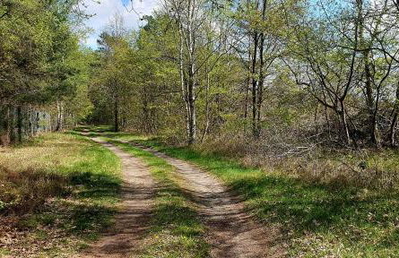 Ferienwohnung Luft und Erde - Foto 23