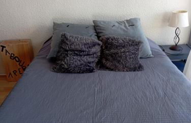 Pla d' Adet, appart 4 personnes Résidence le Grand Stemm , station de ski Saint Lary , pieds des pistes et randonnées - Photo 19