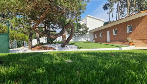 Pinheiro Manso - Foto 2