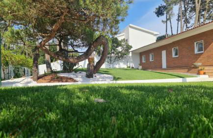 Pinheiro Manso - Foto 2