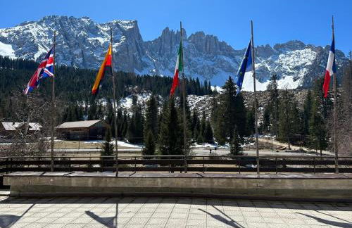 Residence Grand Hotel Carezza - Foto 17