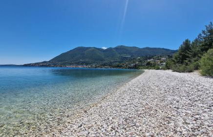 EXOTIC LUXURY APARTMENT - Photo 15