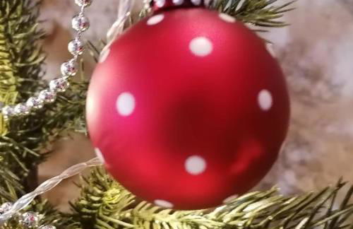 Casa Pedra & Cal - Foto 23