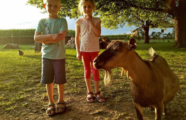 Erlebnisbauernhof Tschom - Foto 74