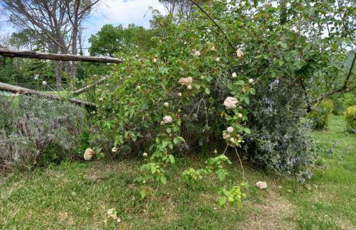 Agriturismo Riparossa - Foto 13