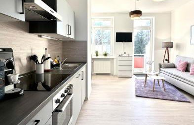 Ferienwohnung am Harz mit Küche, Balkon, Waschmaschine, Parkplatz mit Wallbox - Foto 33