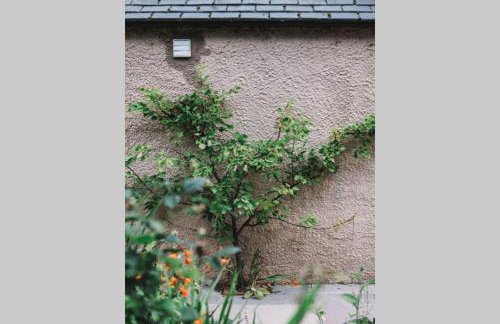 Quarry Gardens Lodge - Foto 6