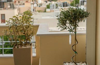 ISLAND Time Deluxe Apartment Downtown 3 floors - Photo 16