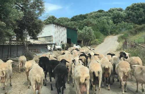 Villa Karma - Foto 54