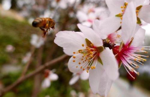 Agriturismo San Michele di Danio Giovanni - Foto 21