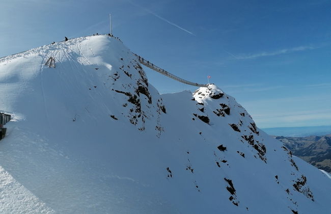 Alpenchalet Weidhaus - Foto 1