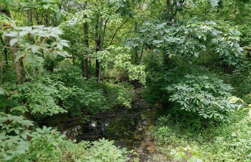 "Deer Creek Lodge" - Secluded Bourbon Trail Stay - Foto 41