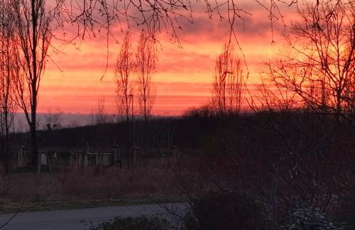 Pension Rosenvilla - Foto 21