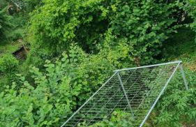 Wunderschöne Wohnung im Grünen - Foto 15