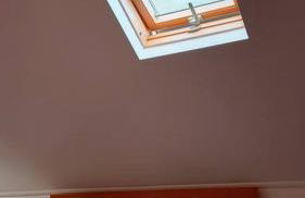 Lazy Lizard Studio - Foto 47