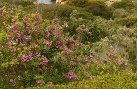 Three Palms Apartment - Foto 31