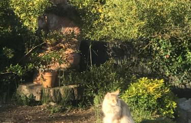 Villa l’Ensoleillée - Foto 6