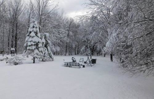 Where Memories Are Made - Foto 67