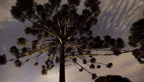 Reserva Cabanas - Foto 2, Garden view