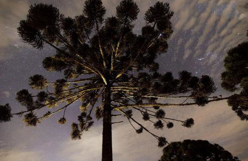 Reserva Cabanas - Foto 2