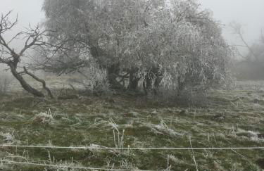 Rhöner Sternenhimmel FeWo 1 und 2 - Foto 22