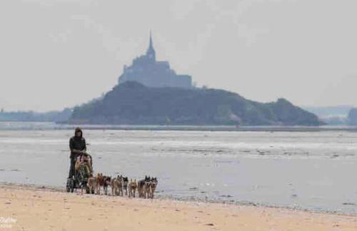 Vue Poneys, 40min Mt St Michel 30min Mer Draps Serviettes Baie Normandie Cottage - Foto 34