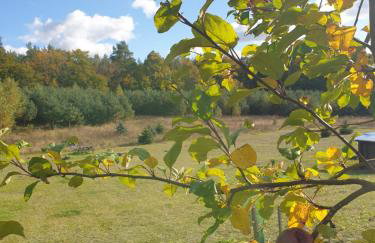 Siedlisko pod Aniołem - Foto 52