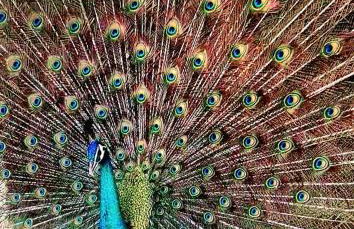 Agriturismo Dolcetna - Foto 56