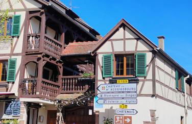 Gîte Le Marronnier, parking et terrasse au calme, entre Colmar-Riquewihr et Obernai, vue sur espaces verts et coteaux d Alsace, route du vin-châteaux - Foto 11
