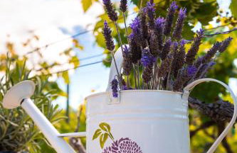 VILLA AGAPE - Three bedroom villa on 15k m2 olive grove - Incredible 360 view - Free parking - Private pool and jacuzzi - Foto 40